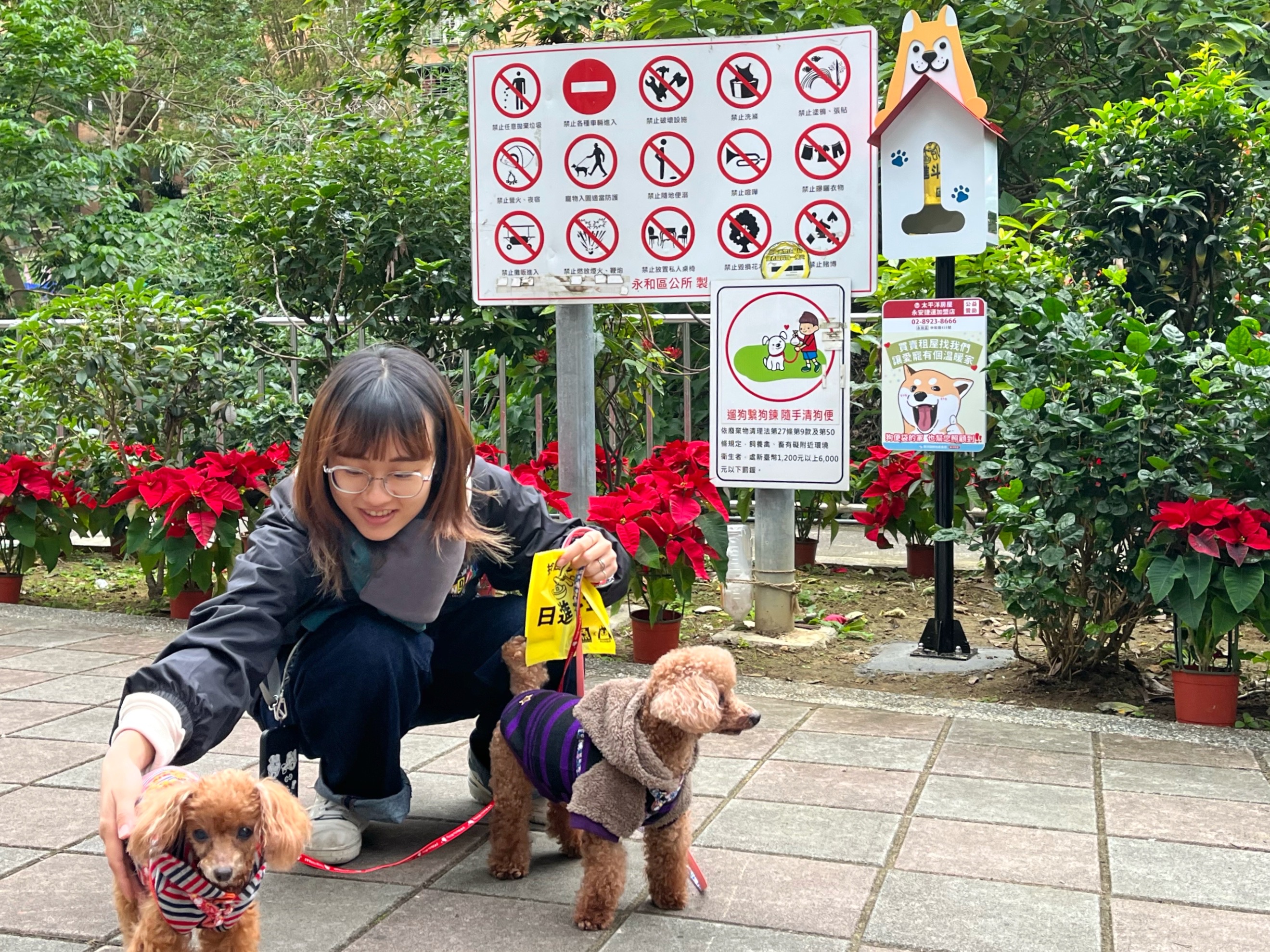 新北可愛柴狗便(袋)箱獲企業響應 增至215座 公私協力護市...