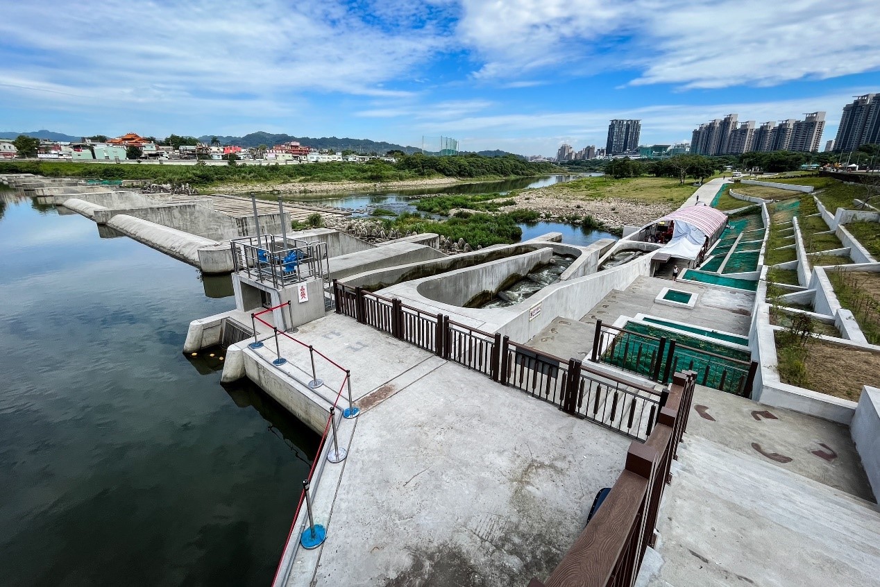  冷冽新店溪水川流不息 碧潭堰喜迎開春嬌客...