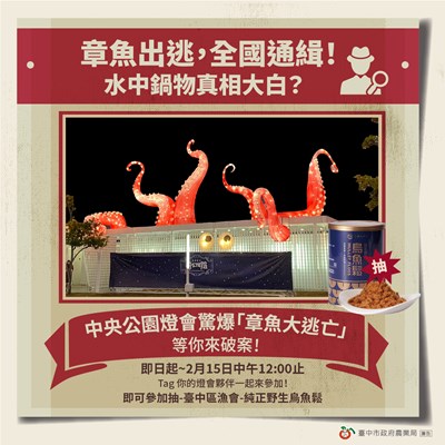 為品嚐野生烏魚鬆拼了   農業局為台中燈會吸客升溫