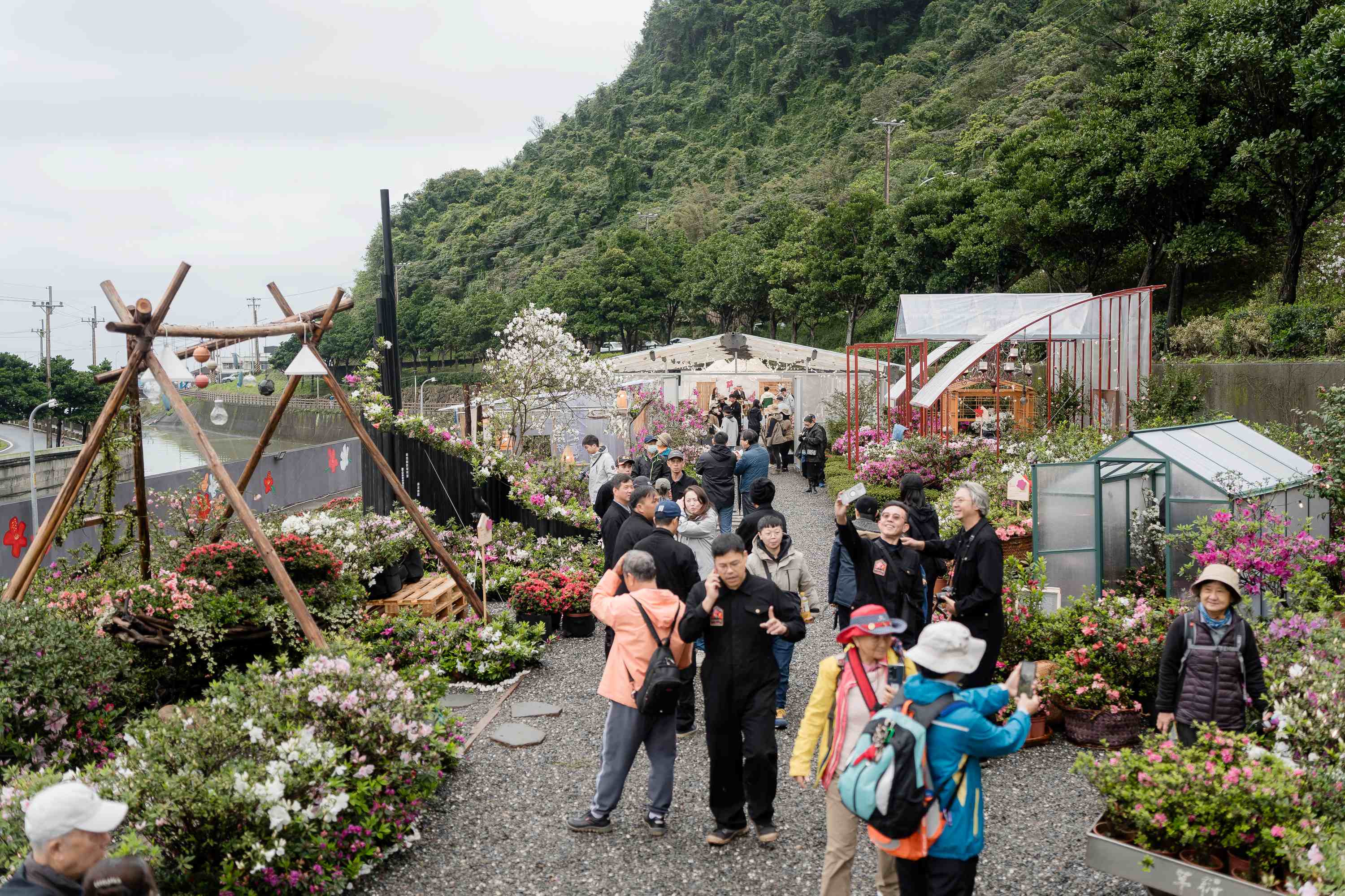 萬金杜鵑花展月底登場   賞花玩北海岸遊程買一送一優惠中...