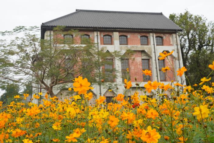 把握燈會尾聲   花季含苞待放   來臺南享受漫遊之旅...