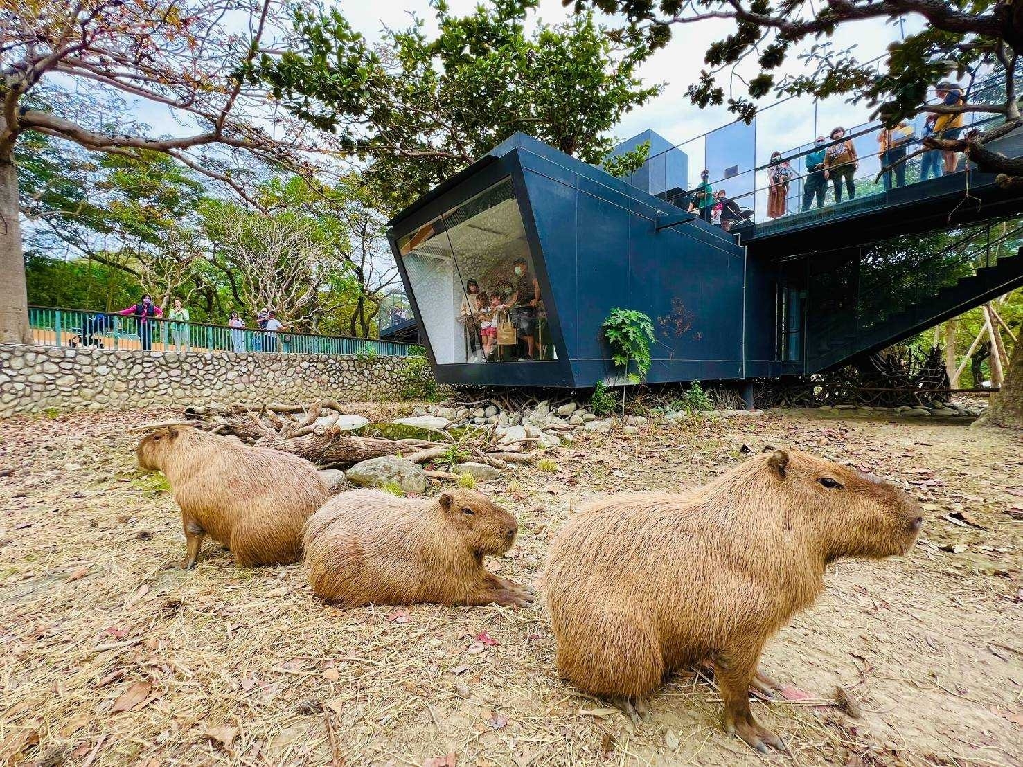 台灣觀光100亮點   3月主打星「高雄」強勢登場   五大觀光亮點集章打卡抽iPhone16