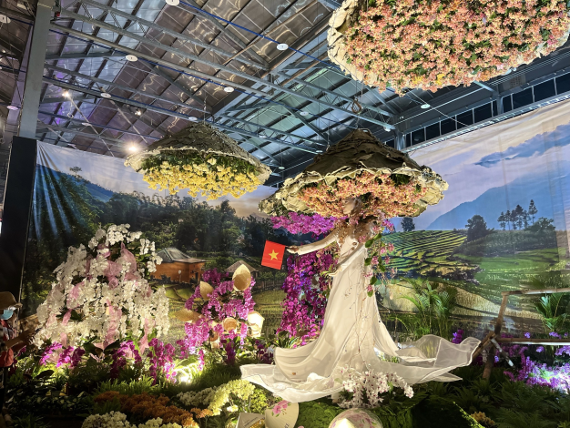 2025臺灣國際蘭展閉幕倒數   把握機會體驗國際級蘭花藝術饗...