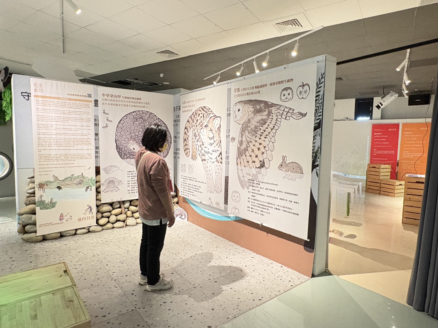 水利局關注提昇保育意識   「以動保挺野保巡迴展」有深意