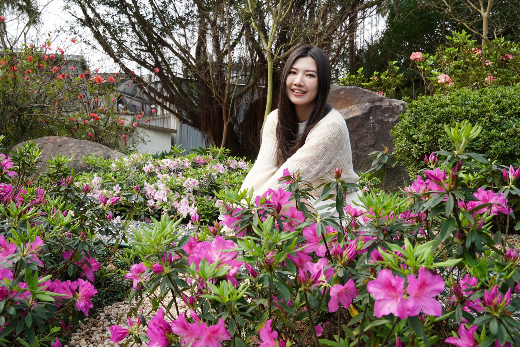 萬金杜鵑花展太好拍　農業局分享美拍3秘訣...