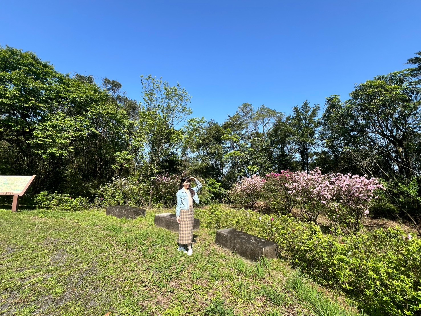 雙溪車遊賞杜鵑 飽覽景觀廊道春季百花綻放秘境...