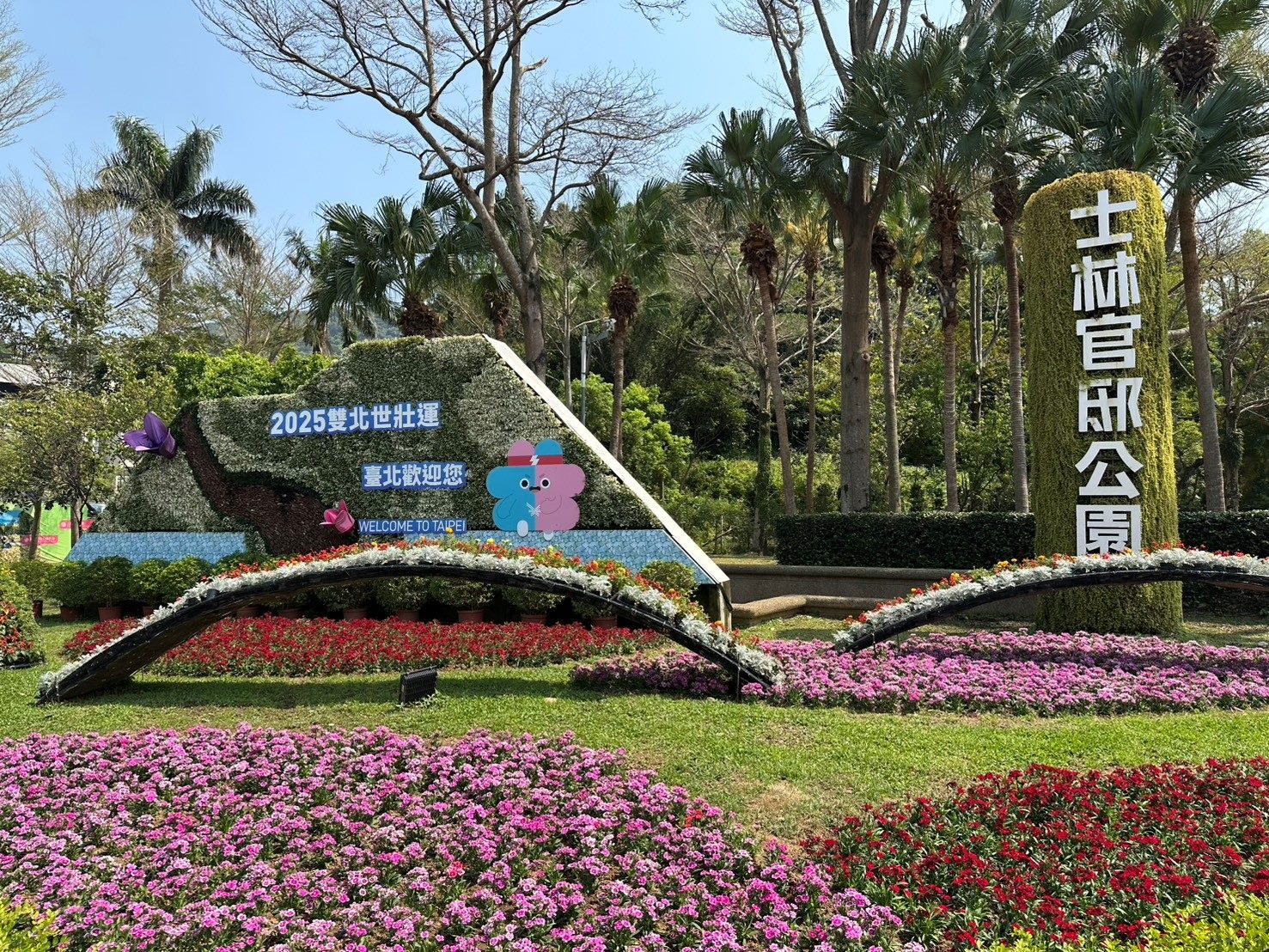 臺北玫瑰展同場加映  賞玫士林官邸也有...