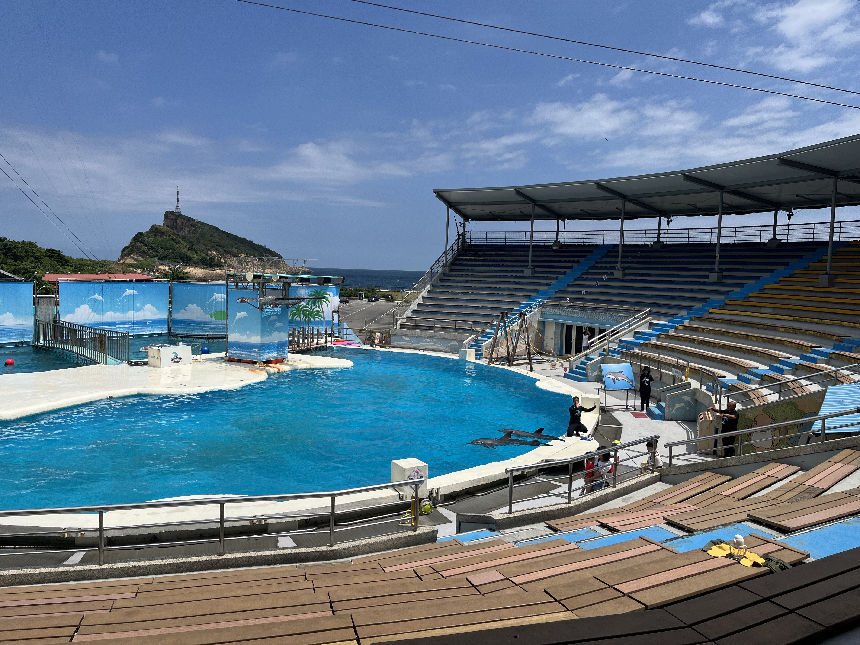 推廣海洋保育  野柳海洋世界連三天新北市民門票半價...