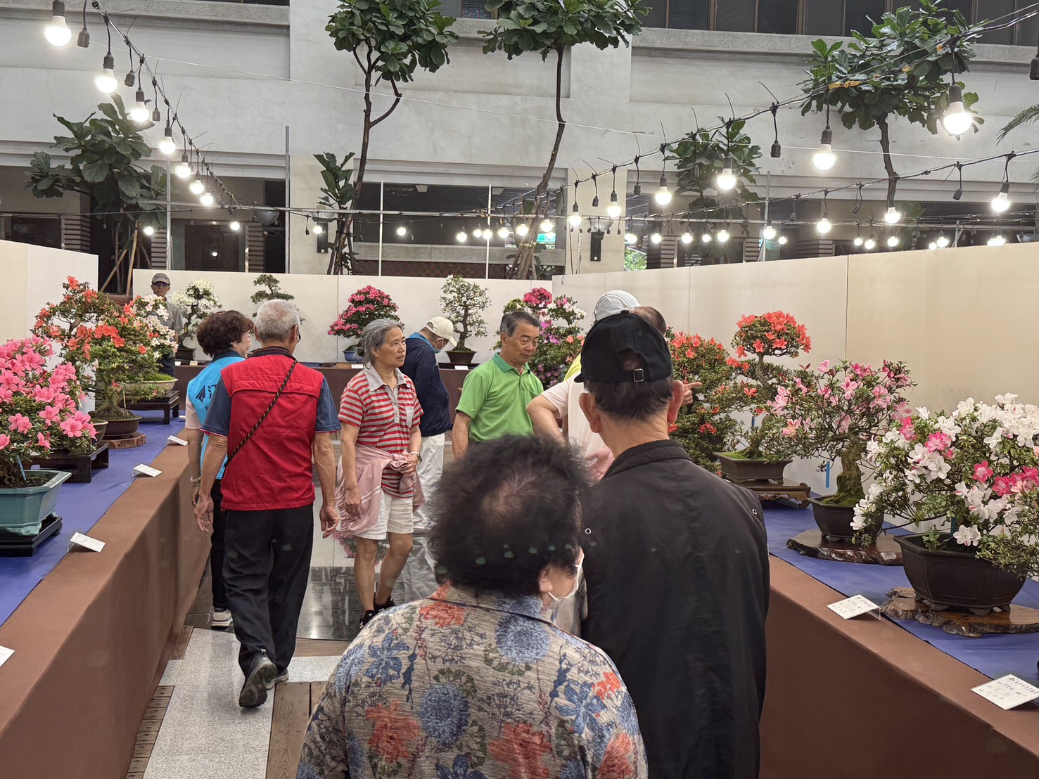 花心思享生活   皐月杜鵑花季展豐原登場...