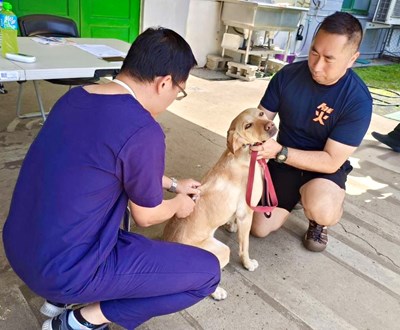 汪汪立大功    動保處疫苗守護搜救犬與警犬...