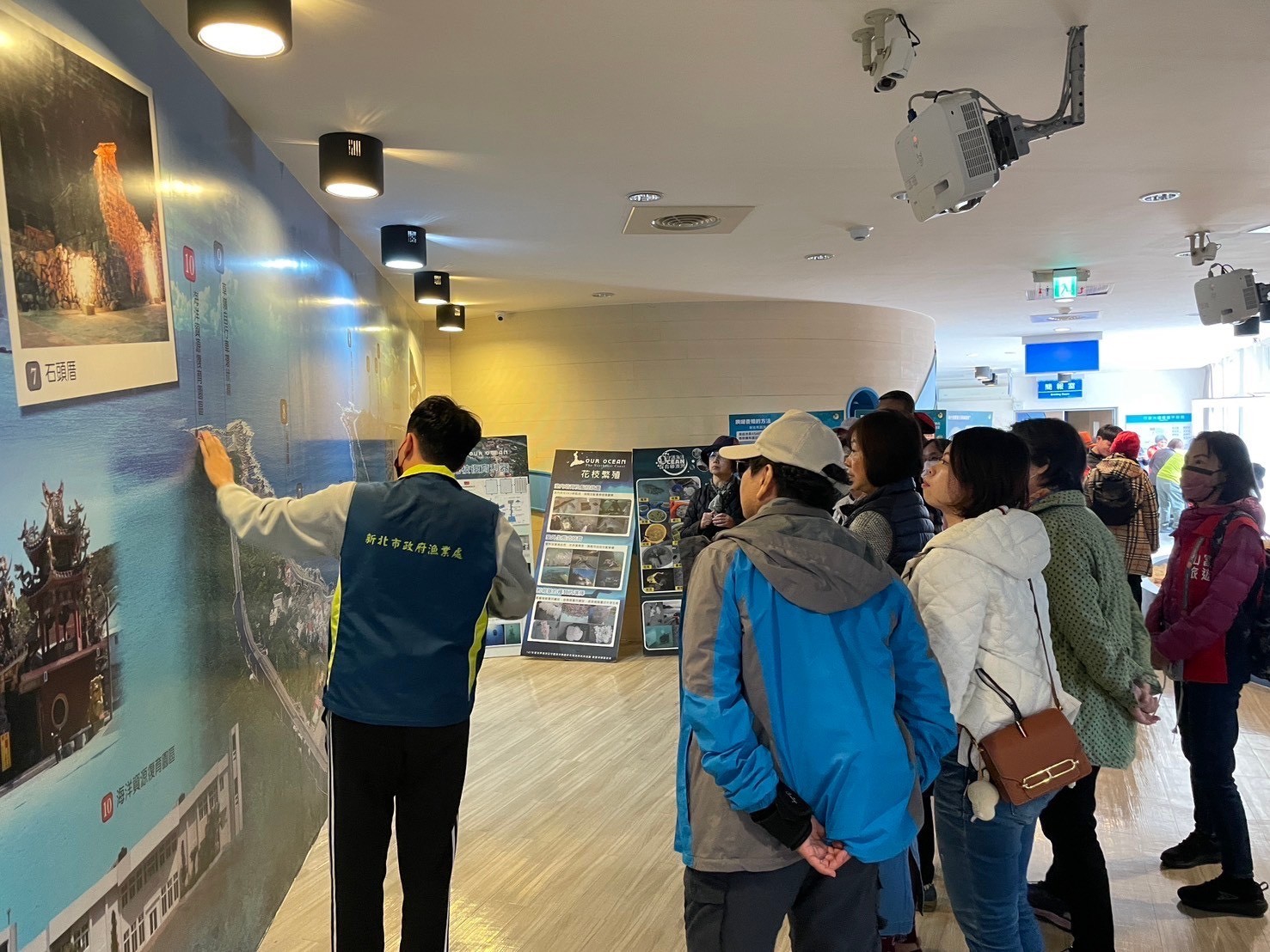 花枝繁殖期到  新北市海洋資源復育園區近距離看花枝寶寶...