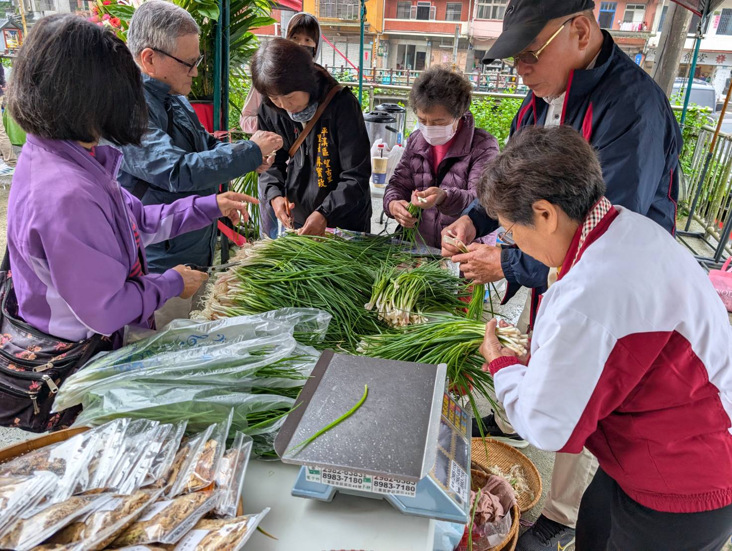 新北推春嚐珠蔥 25家餐廳消費滿額送折價券...