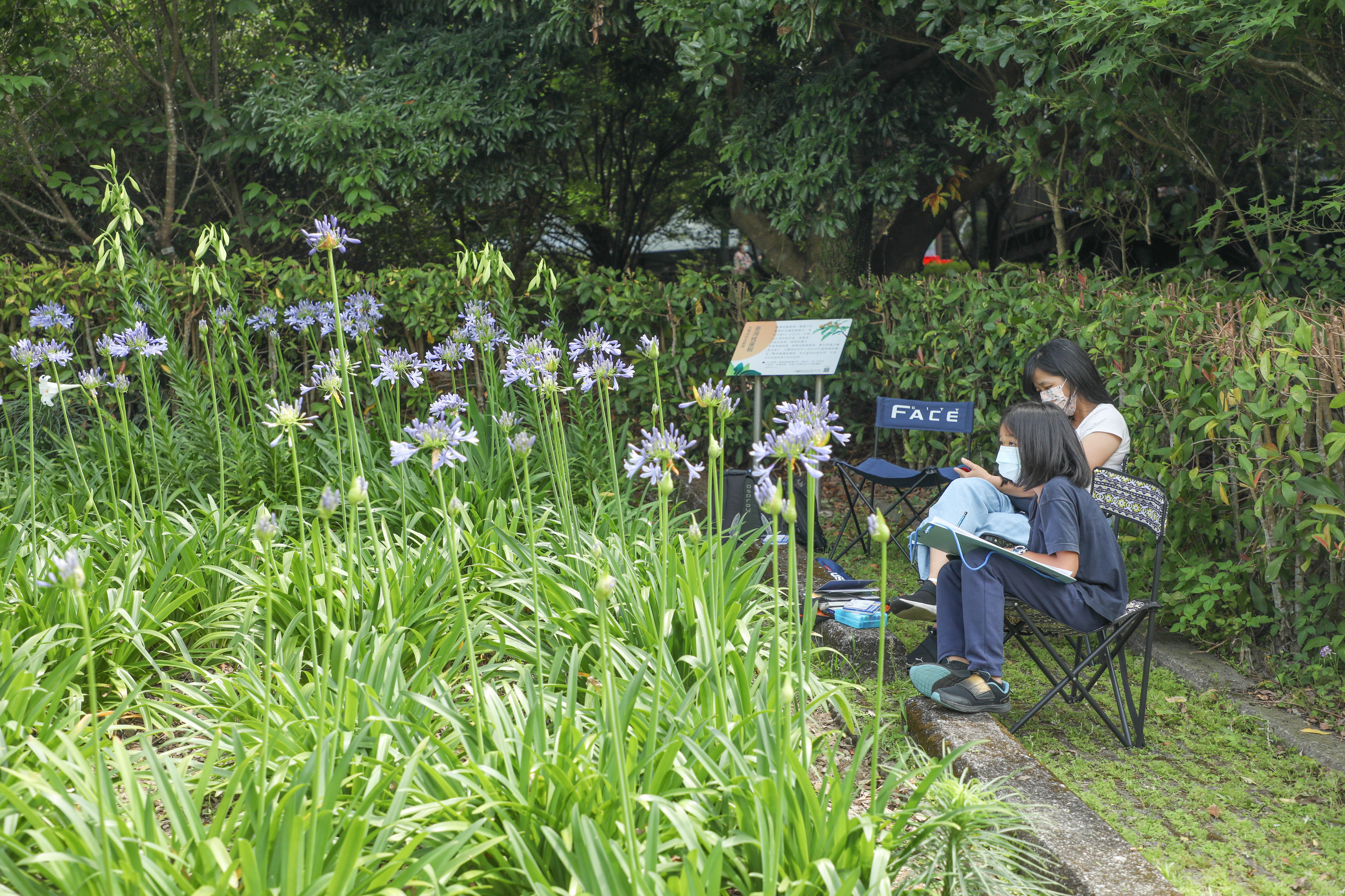 《愛情花季尋寶─鷲在內雙溪》限定花季活動 熱情開跑！...