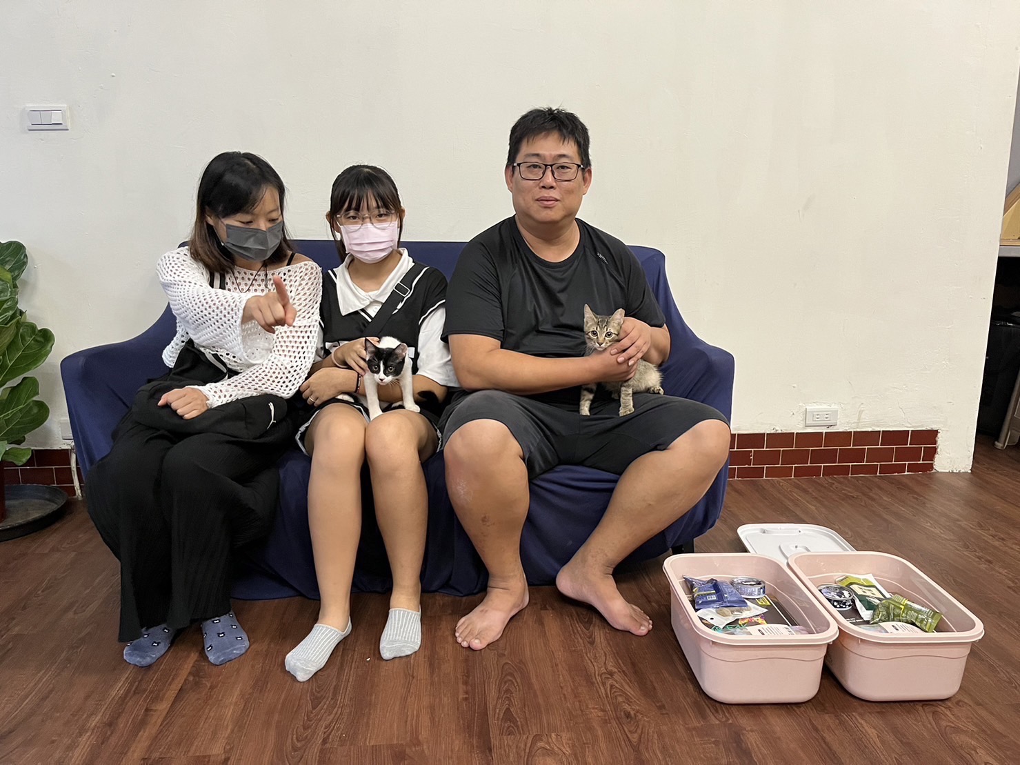 帶毛寶貝前進市中心   新北動保結合民間為毛寶貝謀幸福...