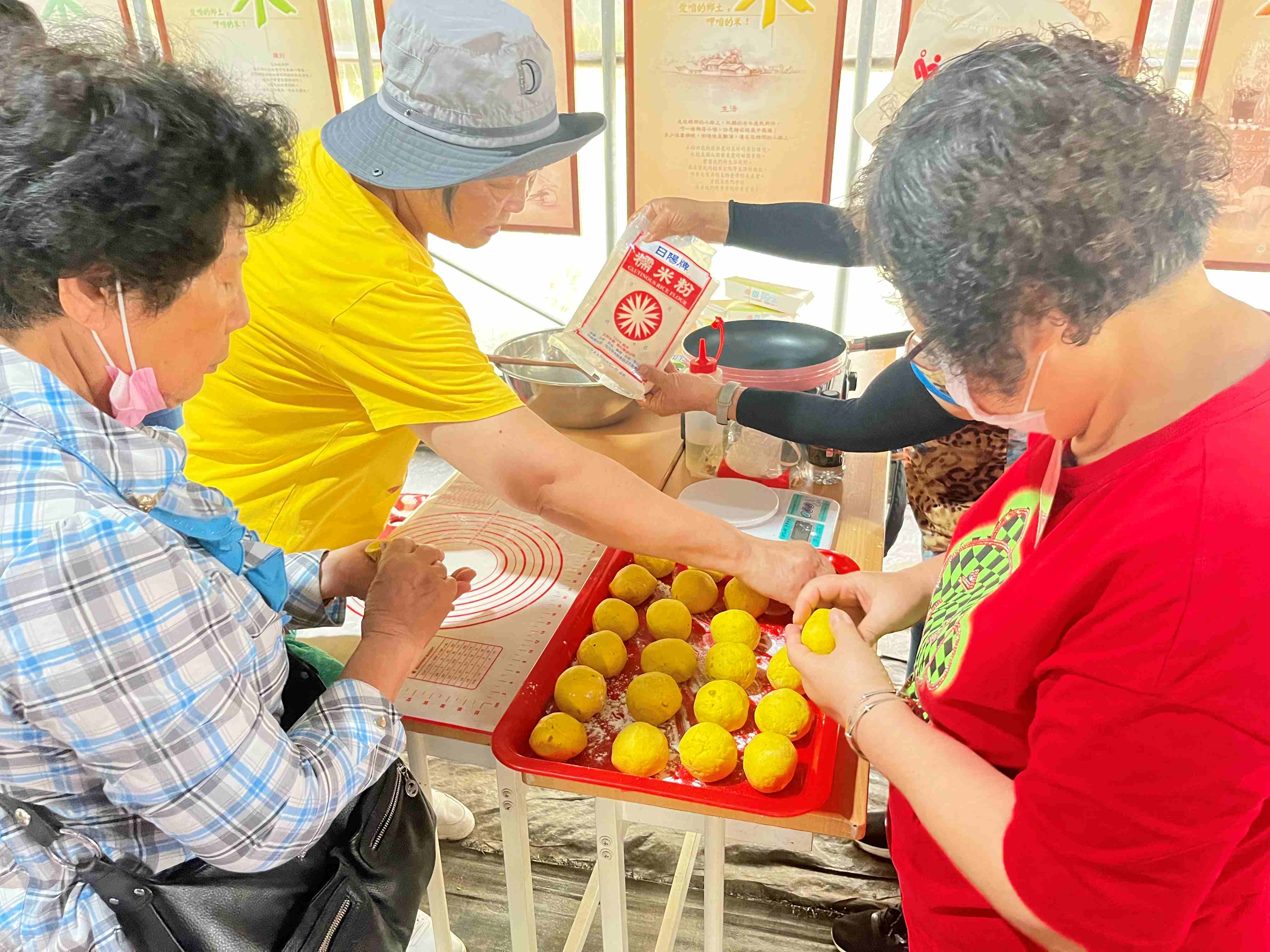 淡水南瓜產季到   多家農場推南瓜食農體驗...