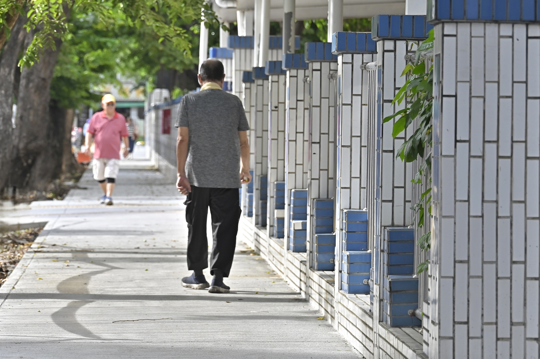 苓洲國小通學步道換新   營造社區通行友善環境...