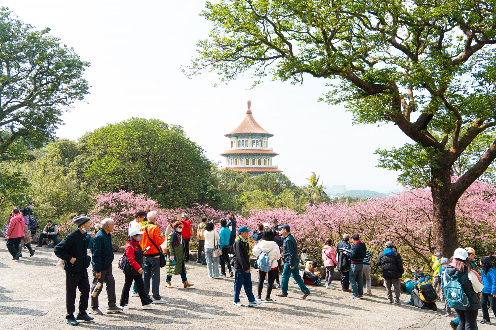 打造創意與綠意兼具的花園城市 新北景觀處獲獎連連...