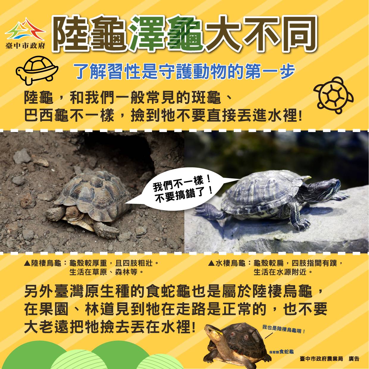 了解習性正確守護野生動物 中市農業局提醒「不干擾、不餵...