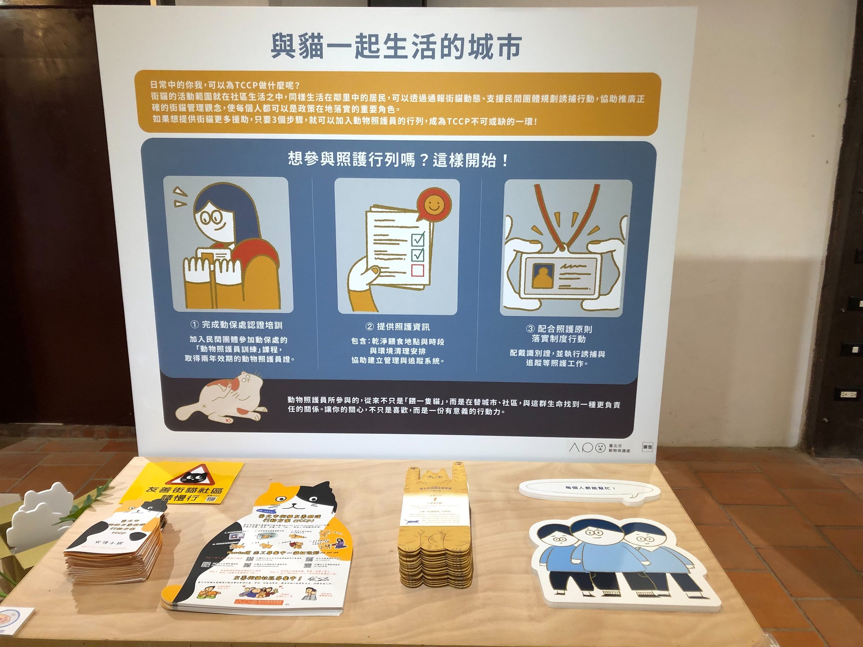臺北市街貓友善照護行動方案20週年30日開展！「貓造型剪耳...