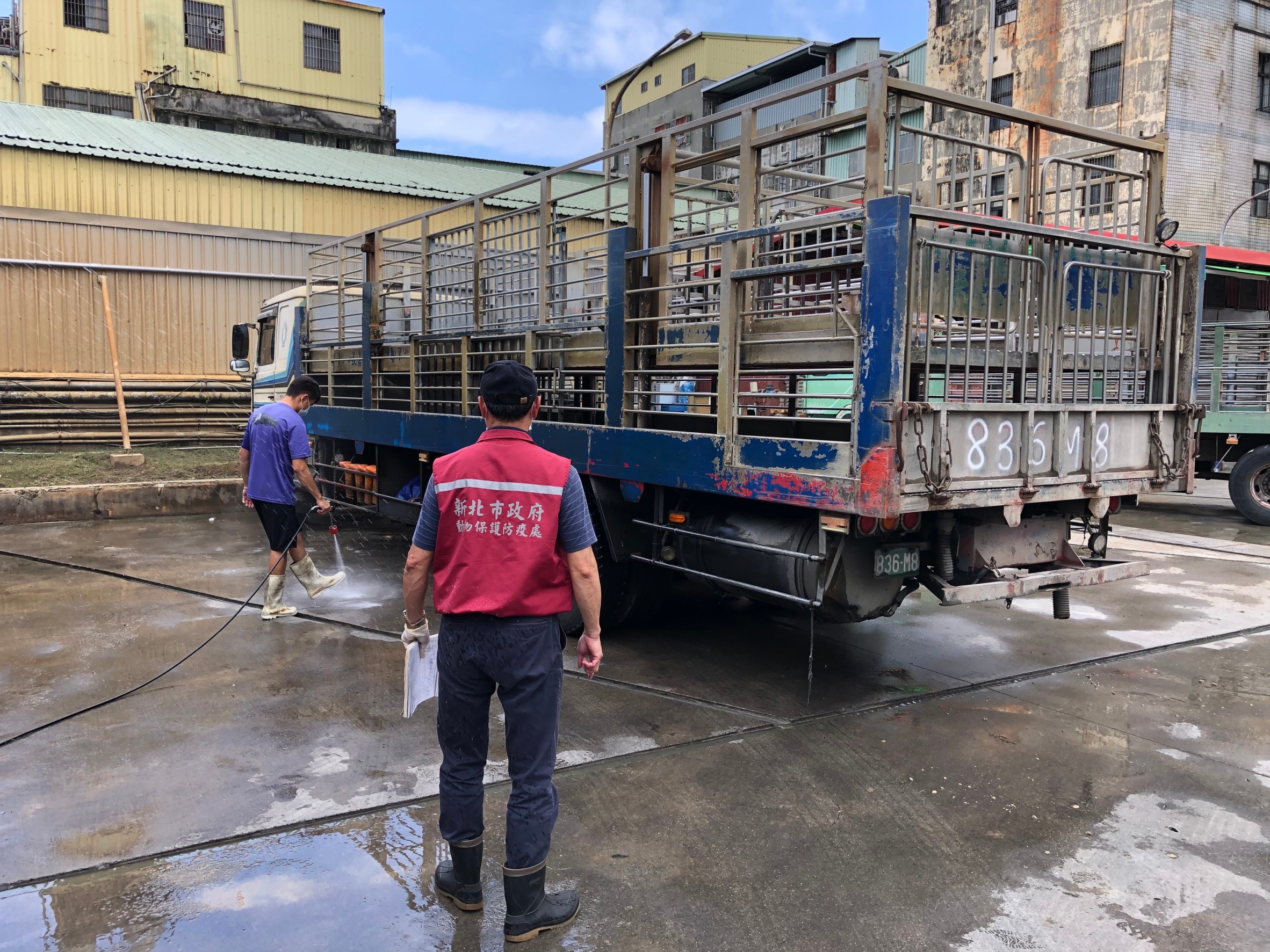 新北動保處加強查核豬隻運輸車輛  3%E8未裝GPS依法開罰 ...