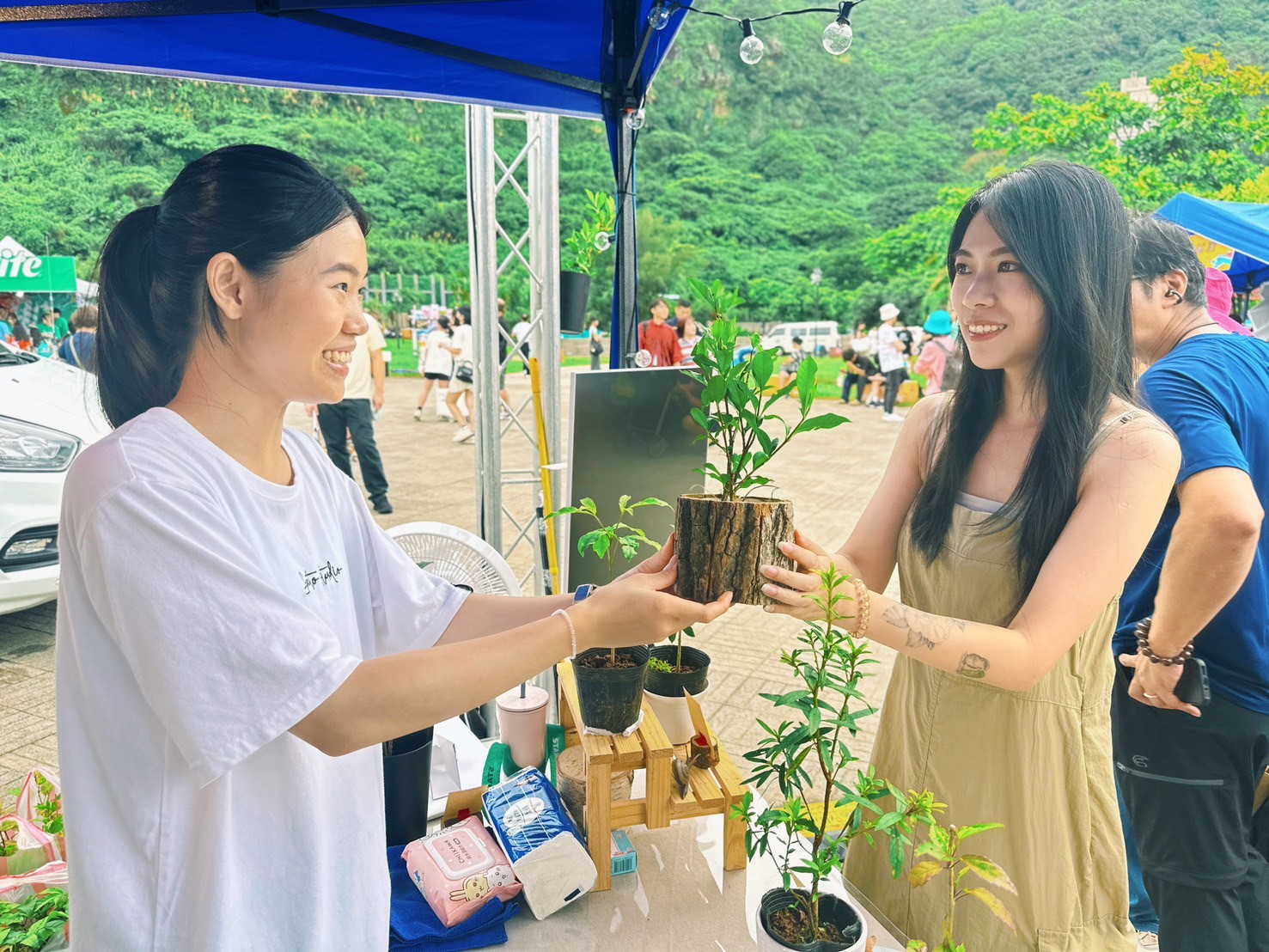 國際清潔空氣日   邀請全民共創健康綠植城市...