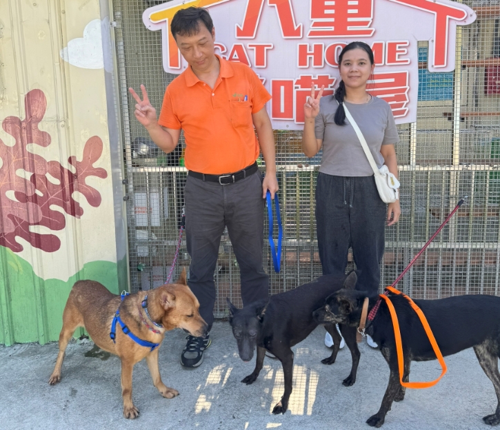 認養好康連環送！新北動保處推認養送新北幣...