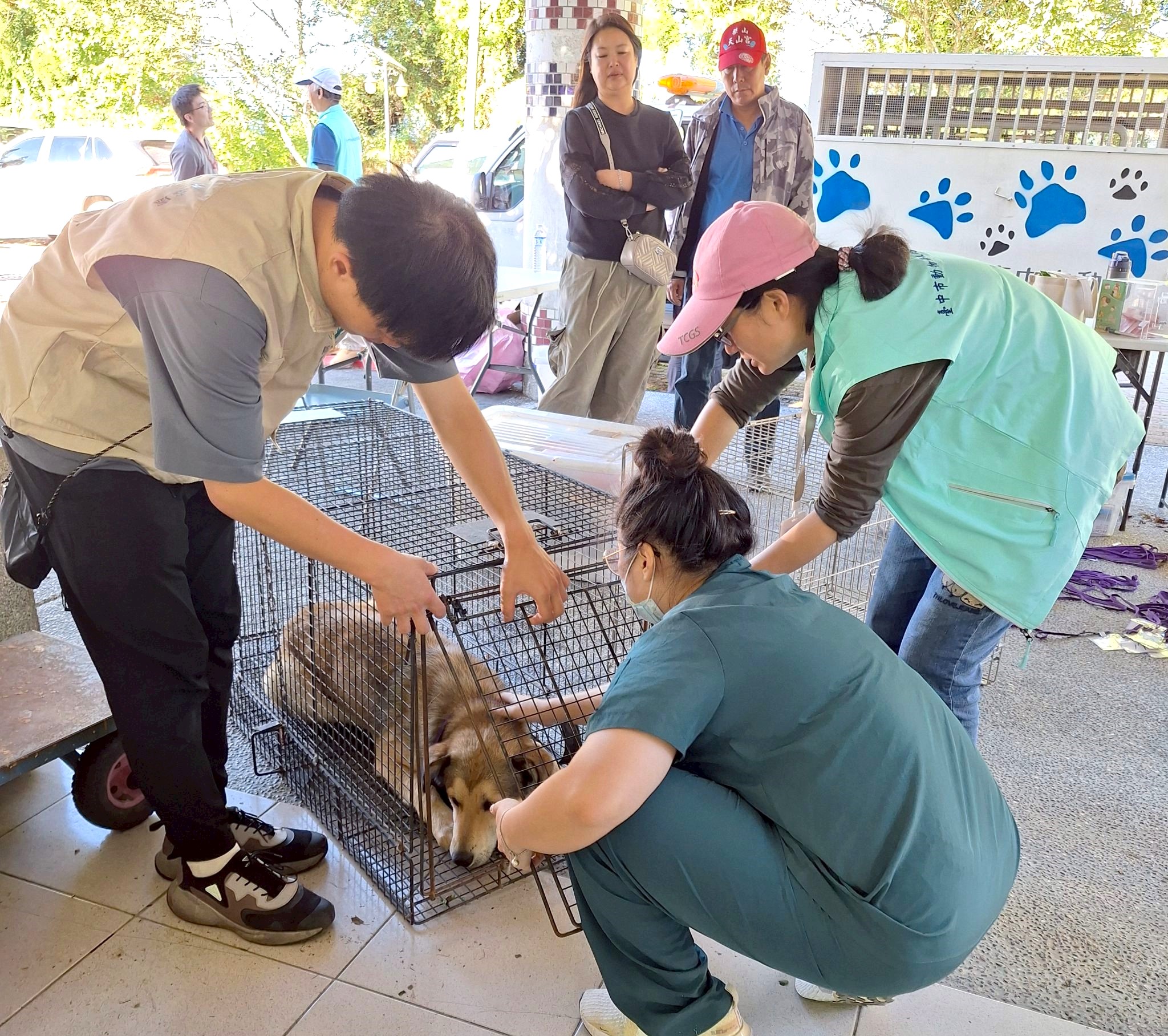 落實山區犬貓源頭管理 動保處梨山巡迴注射圓滿落幕...