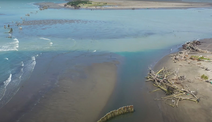 南市府緊急搶修七股潟湖沙洲並推動短中長期復育計畫...