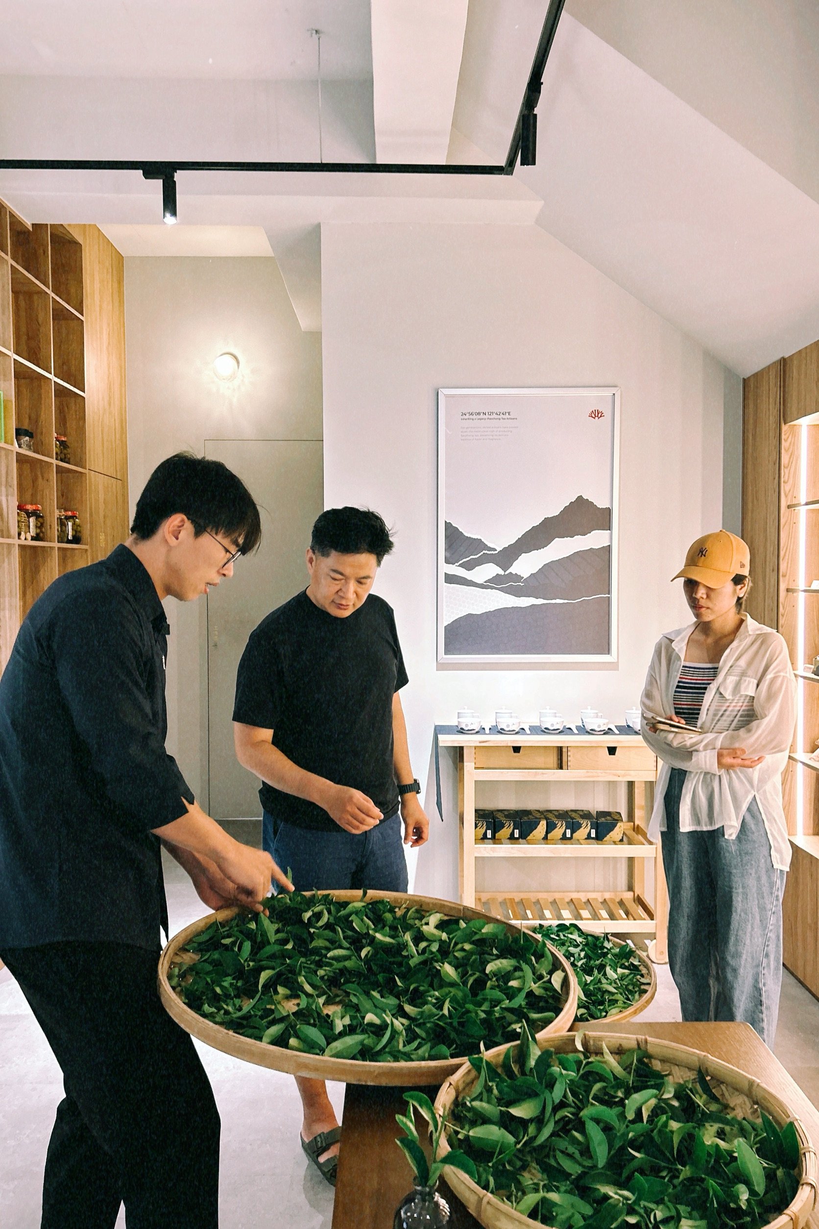 「新北農創所一號」有種茶   推出系列體驗活動與秋季優惠...