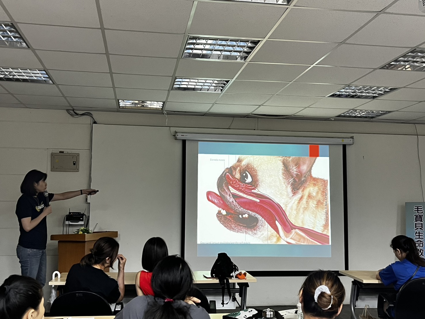 新北動保處舉辦寵物照護課程  10月至12月課程搶先看...