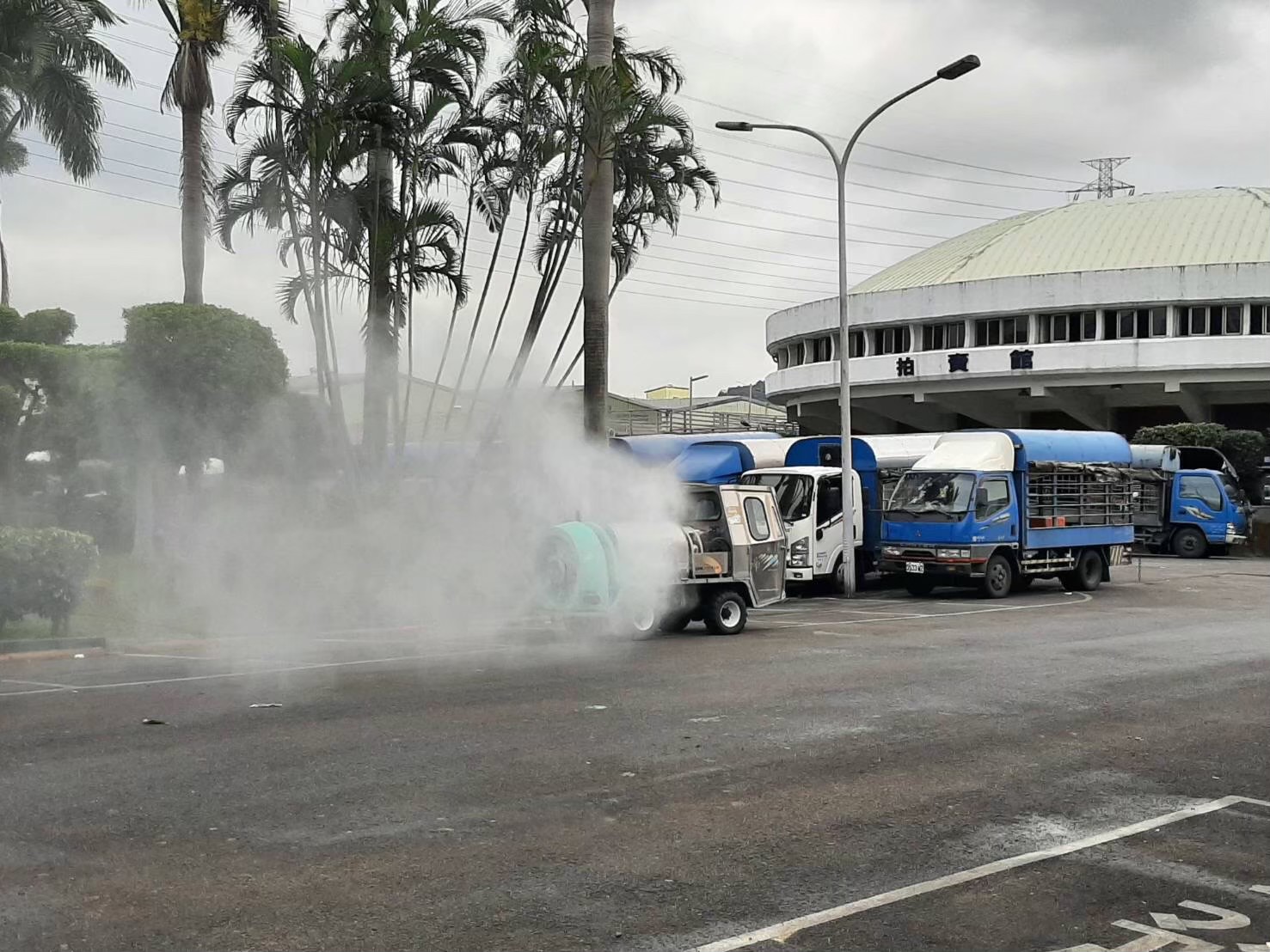 台中發現非洲豬瘟疑似病例 新北市府非洲豬瘟災害應變中心...