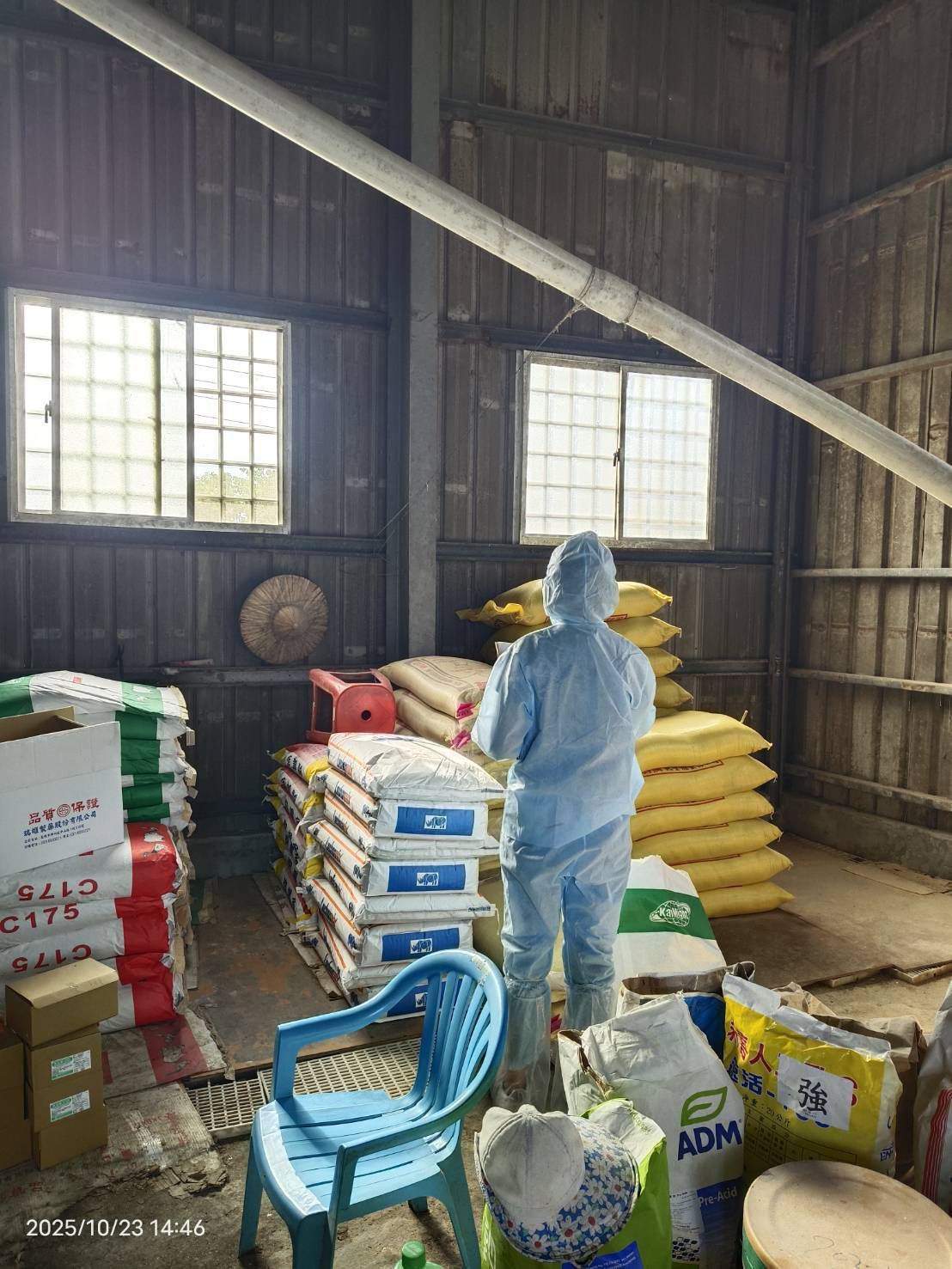 高雄市全面禁止廚餘養豬　所有再利用養豬場未來均改用飼料餵飼