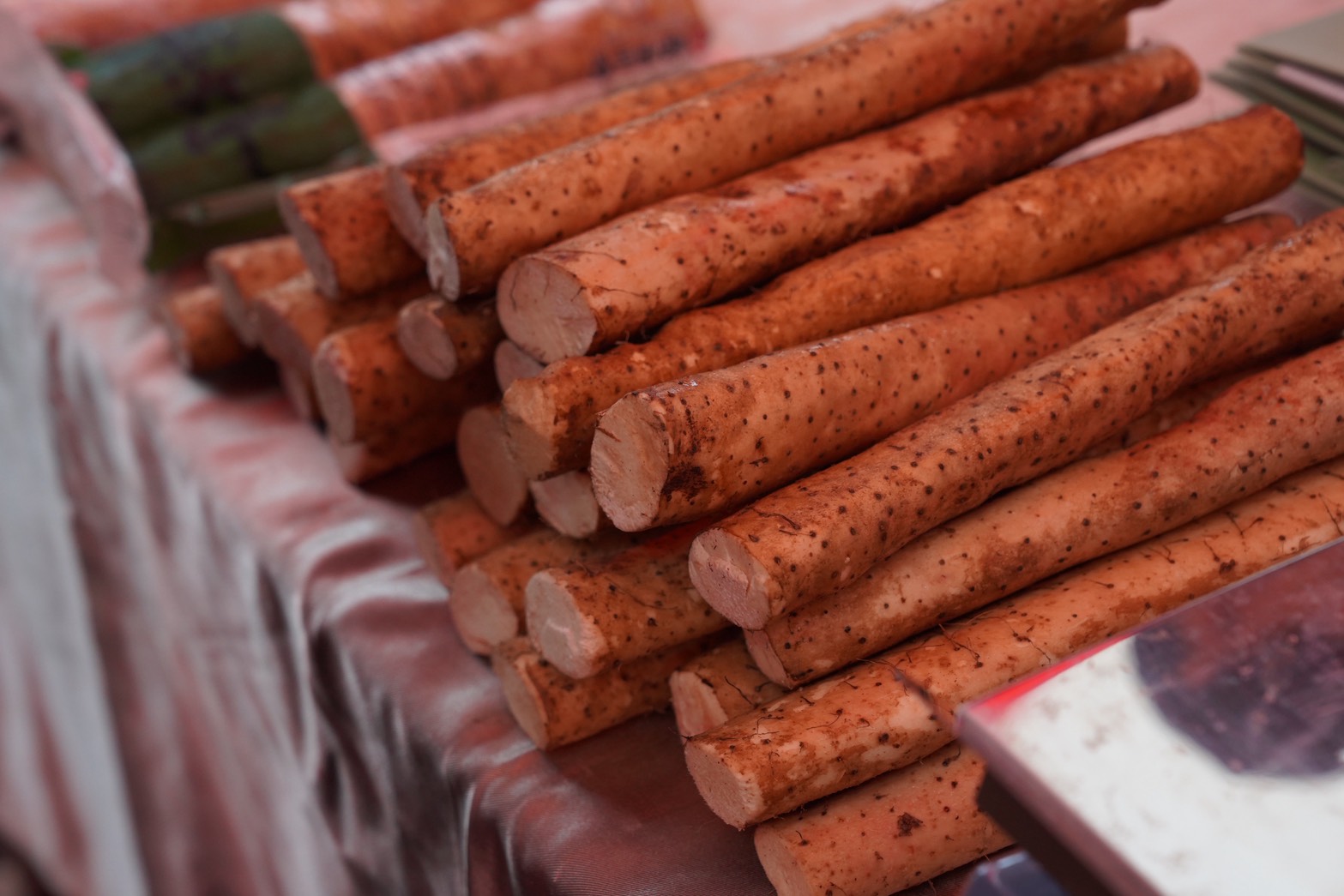 雙溪平林農場熱鬧登場　食農饗宴展現山海魅力...