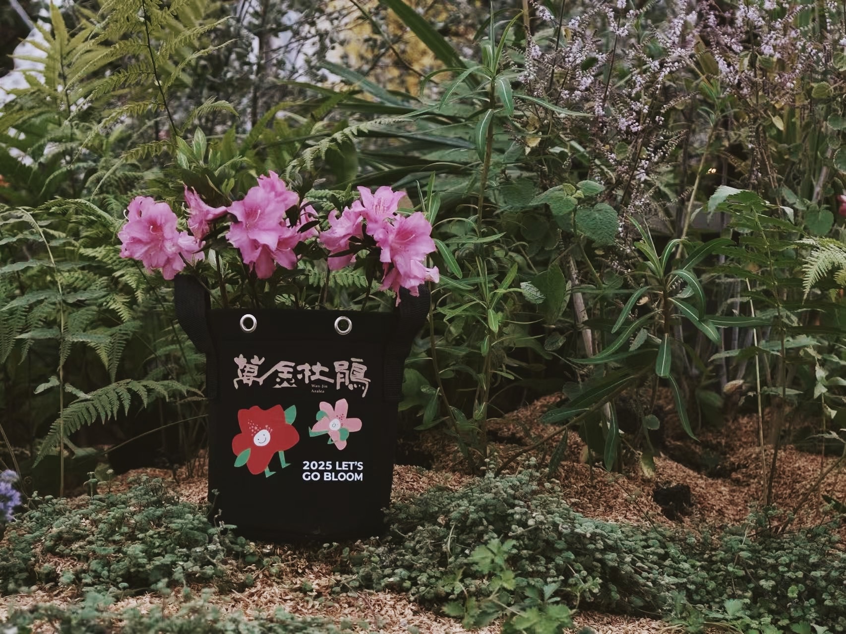 萬金杜鵑小旅行限量優惠中   參加者還可獲得品牌美植袋等...