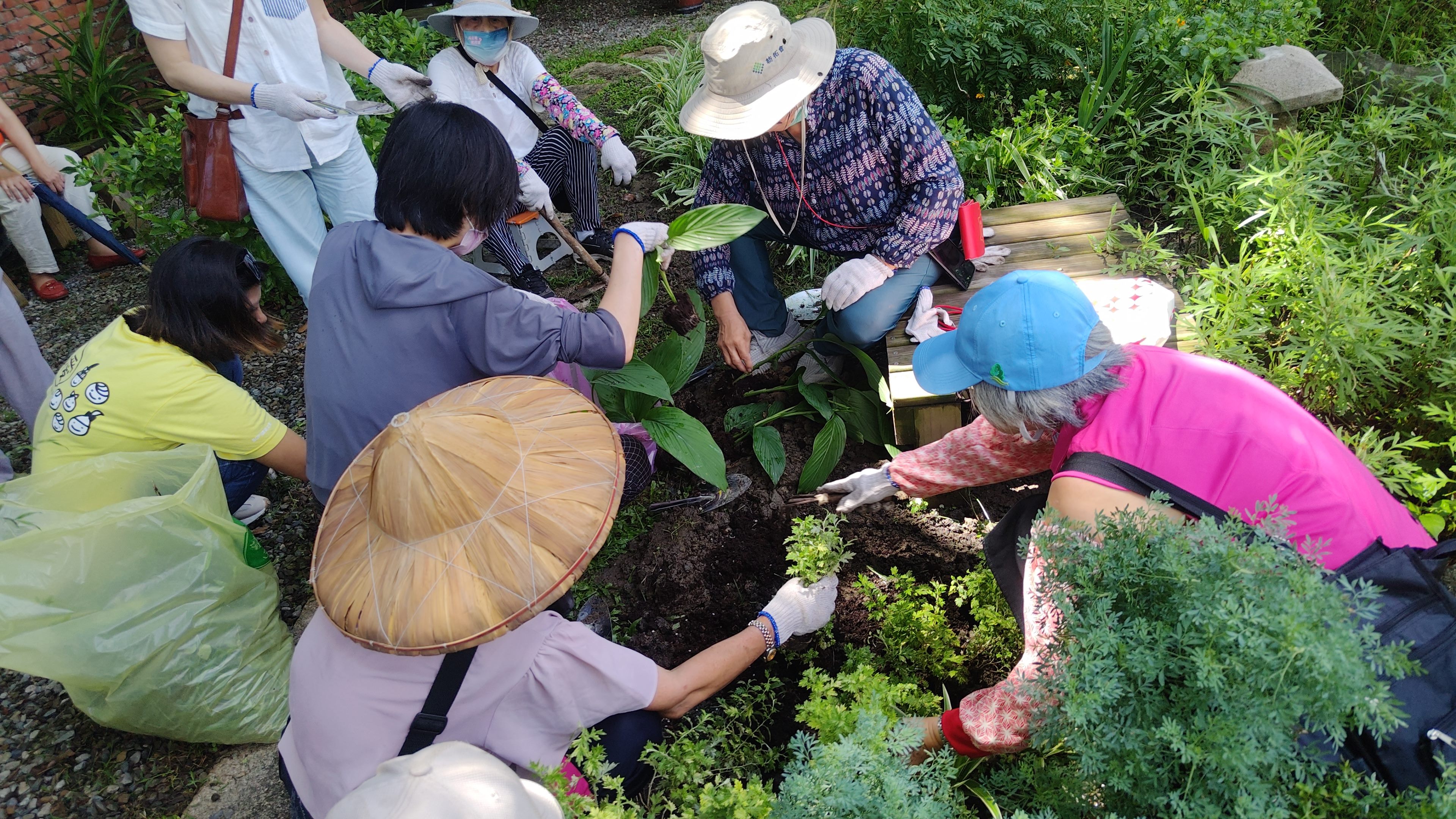 菜蔬變身上板植物   田園城市推出美化生活大招