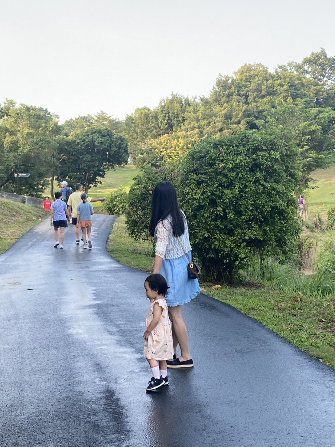 為守護生態與防範火災  高雄果嶺自然公園嚴禁園內明火與炊煮行為