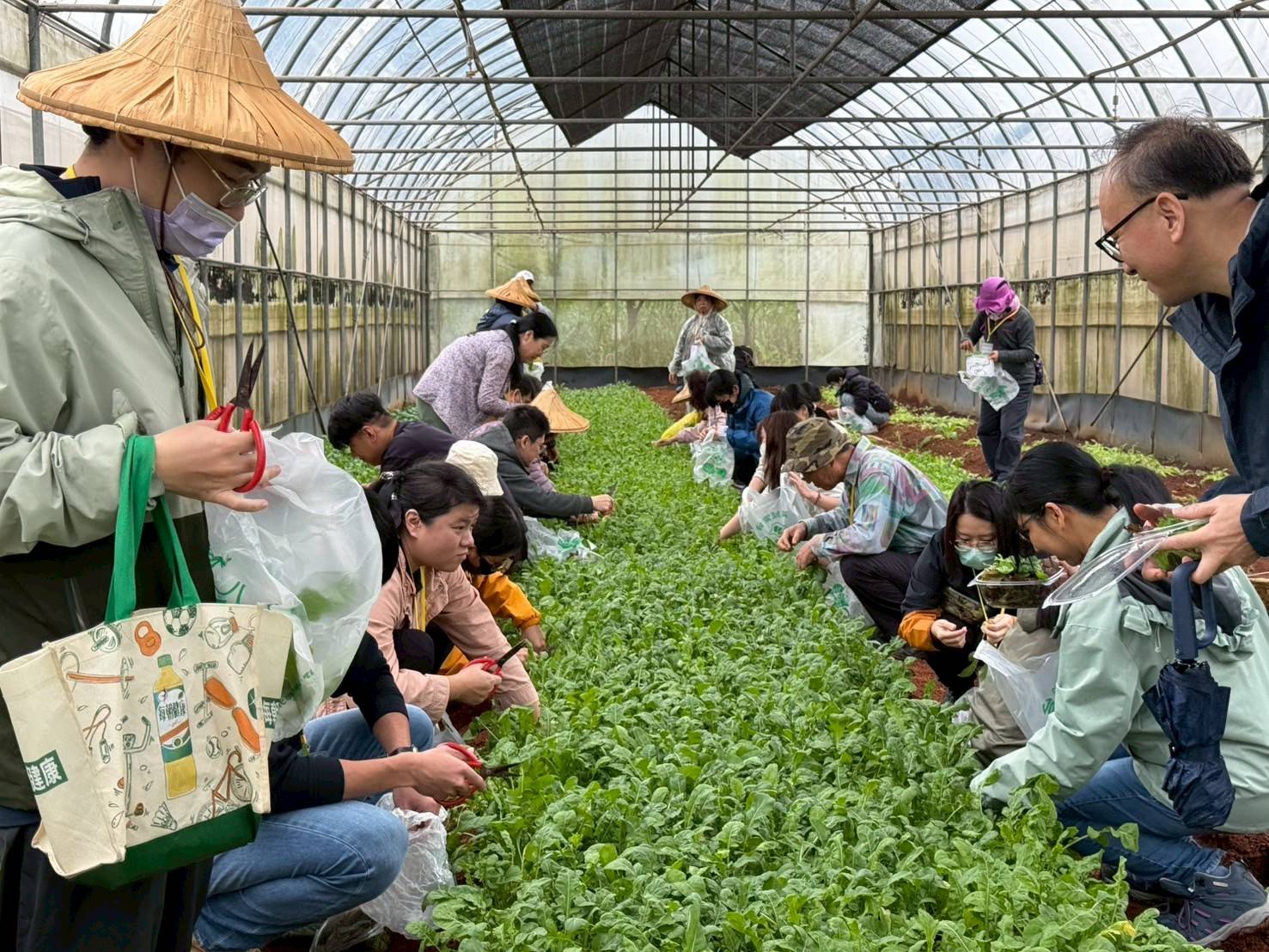 桃園環保局推創意行銷工作坊 從農場到公益實踐永續行動...