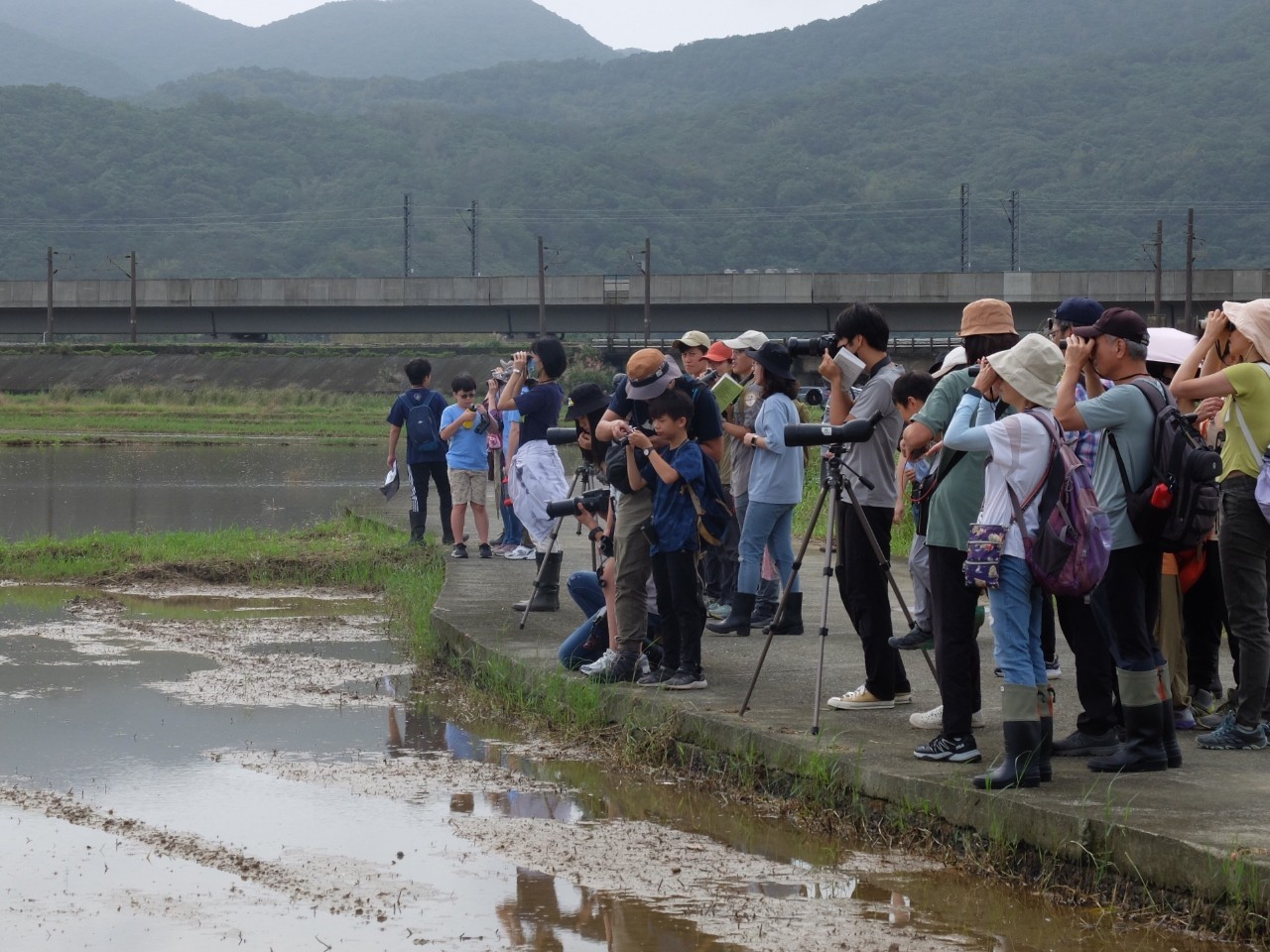 走進候鳥與沙灘植物祕境   田寮洋小旅行開始報名...