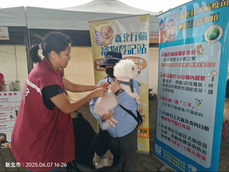 新北犬貓11月起打狂犬病疫苗抽新北幣 總獎金10萬元...