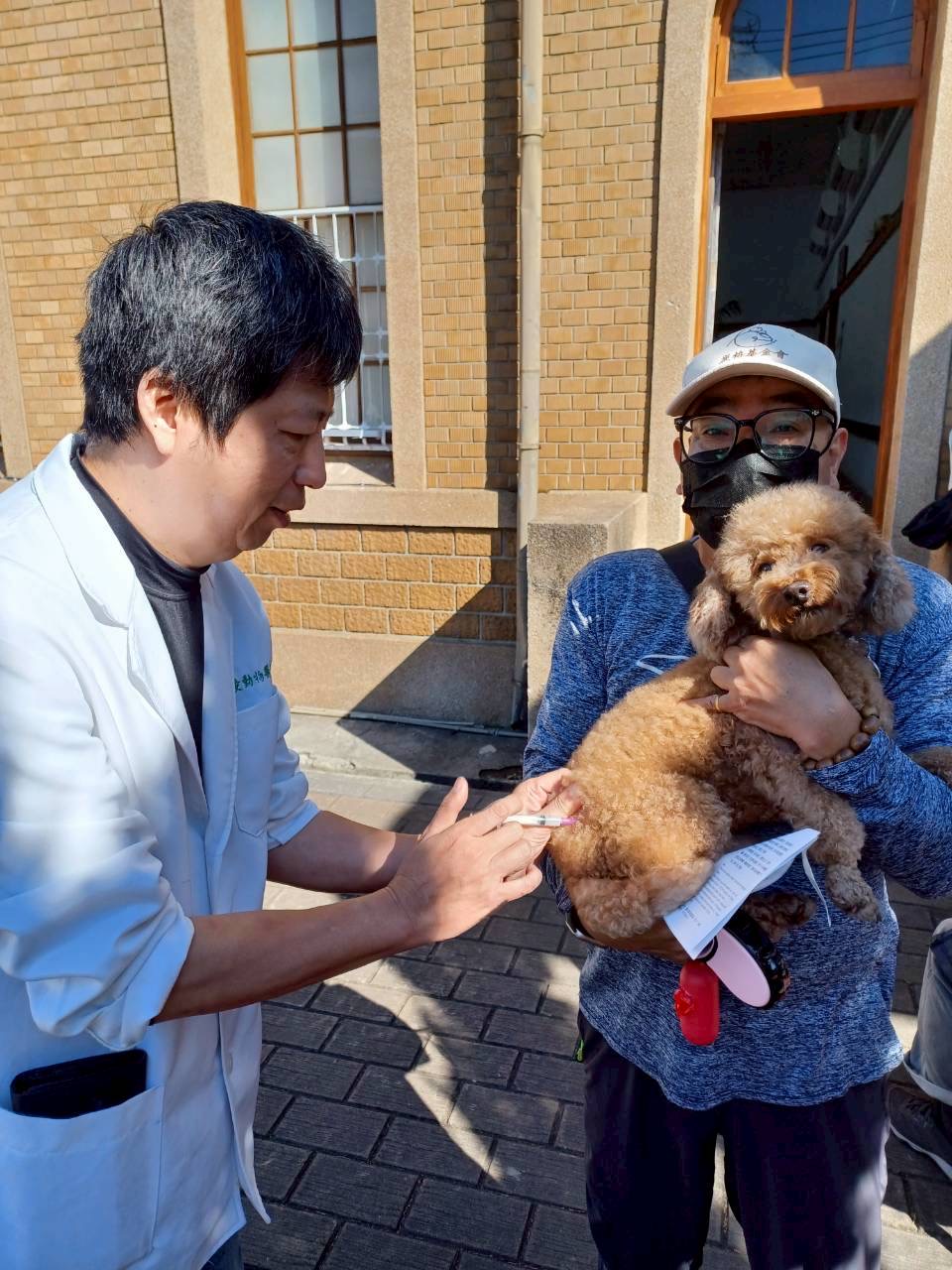 中市動保處深入偏鄉辦理寵物巡迴注射 守護毛孩健康...