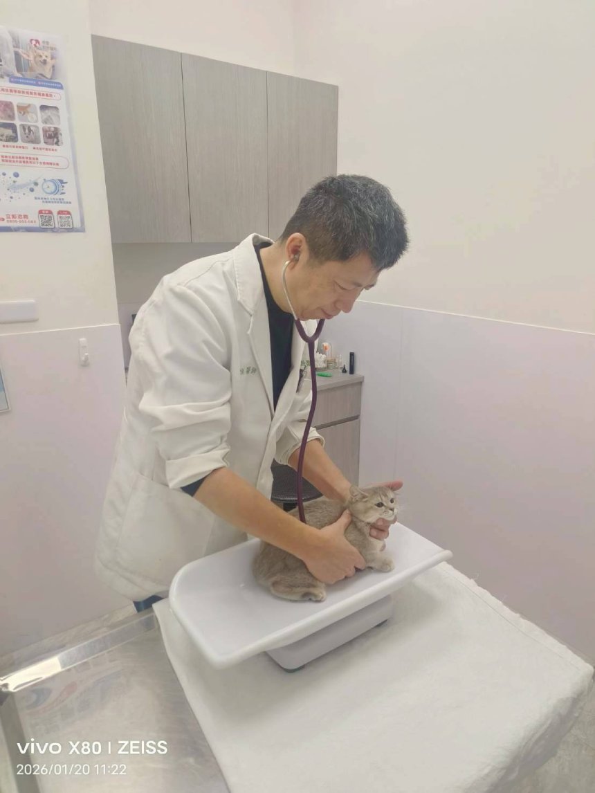 台中動物救援最給力！  春節無休助走失毛孩寵主團聚...