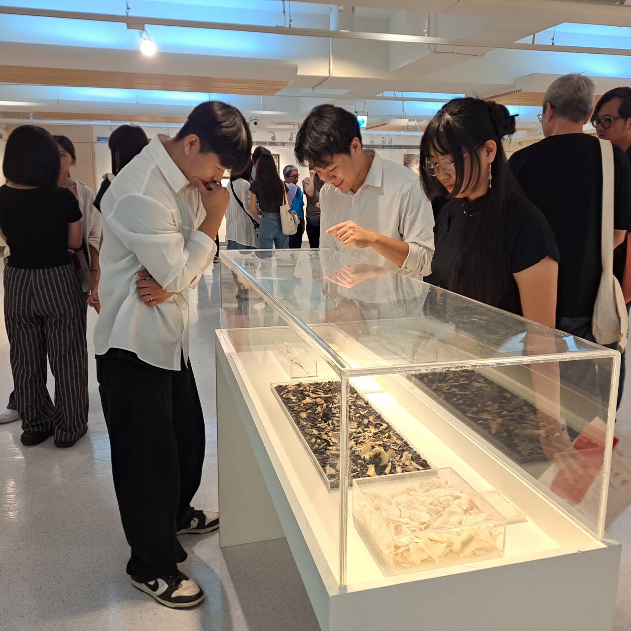 《恍恍如初》 台南應用科技大學美術系115級畢業展  %E5��望�...