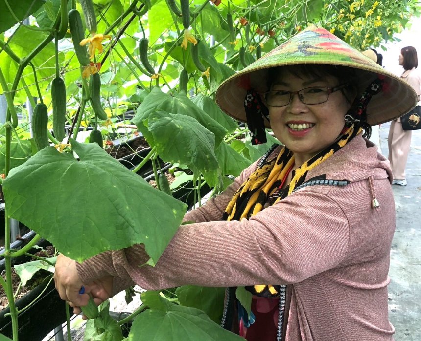 清水戶政所推食農探索班  助新住民開啟職能新契機...