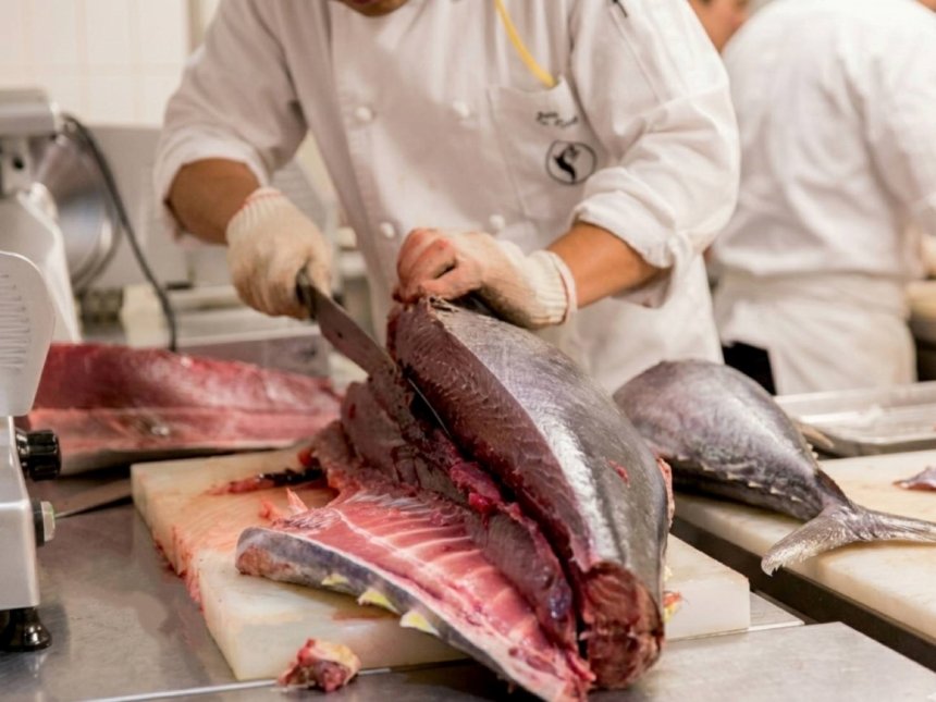 改版升級季節限定夏動員  金典鮪魚現切極鮮好饗受...