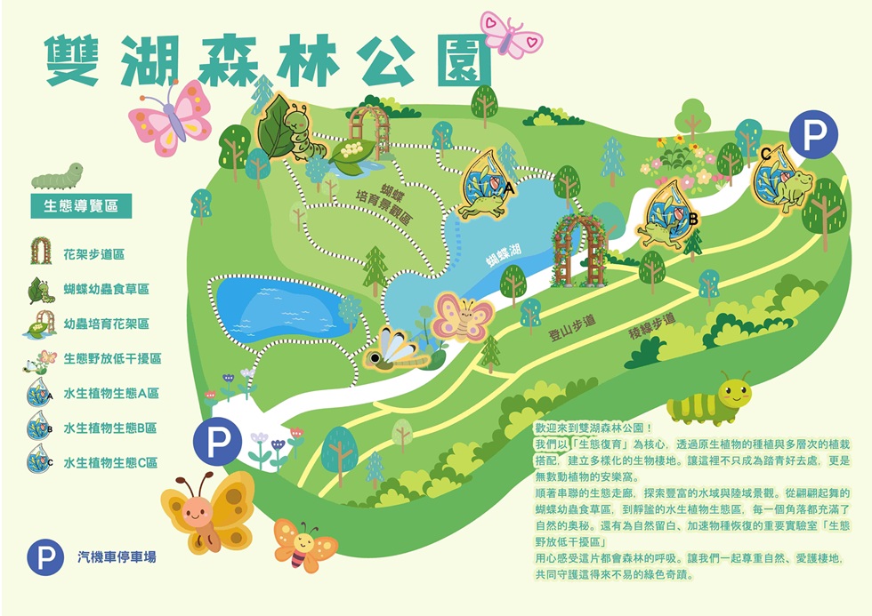 彩蝶滿天飛！高雄雙湖森林公園變身都市生態樂園 逾20種蝴...
