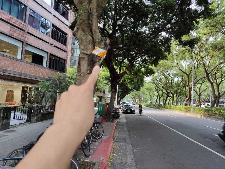 北市行道樹警示帶提醒用路安全  絕非移除樹木標示...