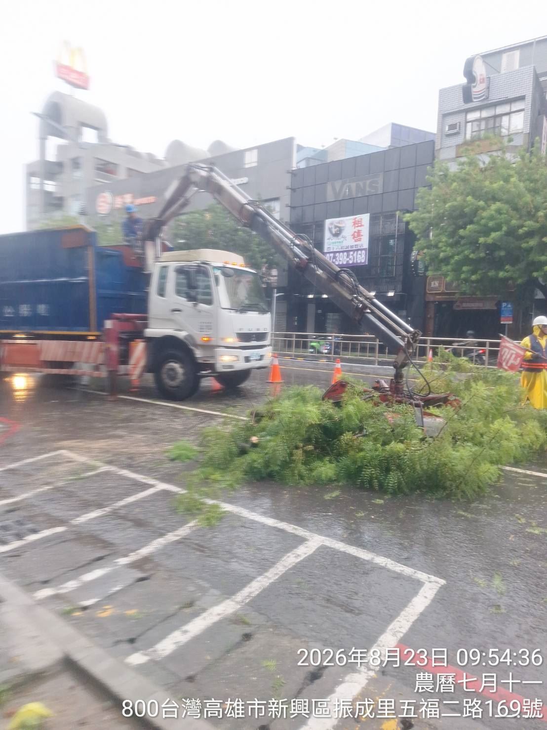 高市五福二路路樹倒伏  公園處迅速於1小時內排除恢復交通
