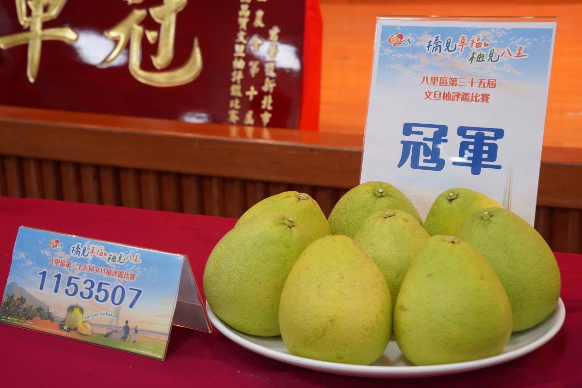 秋季旬味正當時  八里文旦柚評鑑揭曉...