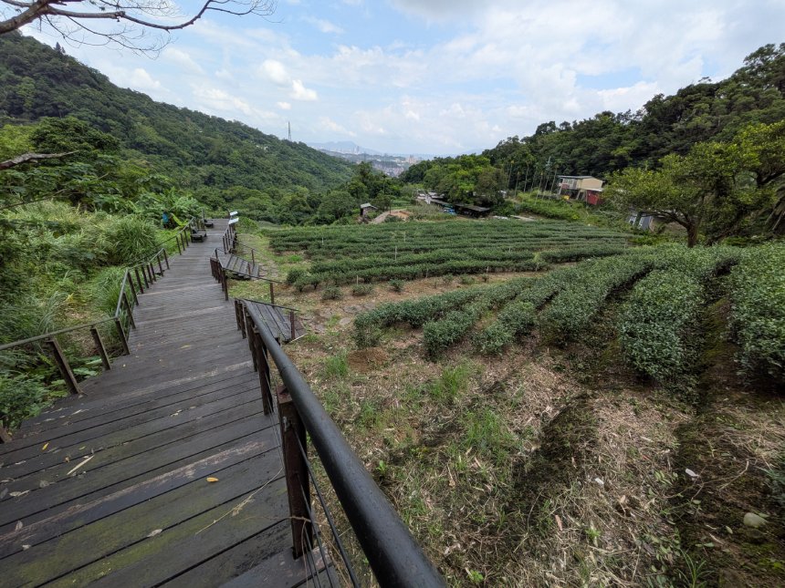 秋高氣爽遊茶山  貓空農村生態好風景...