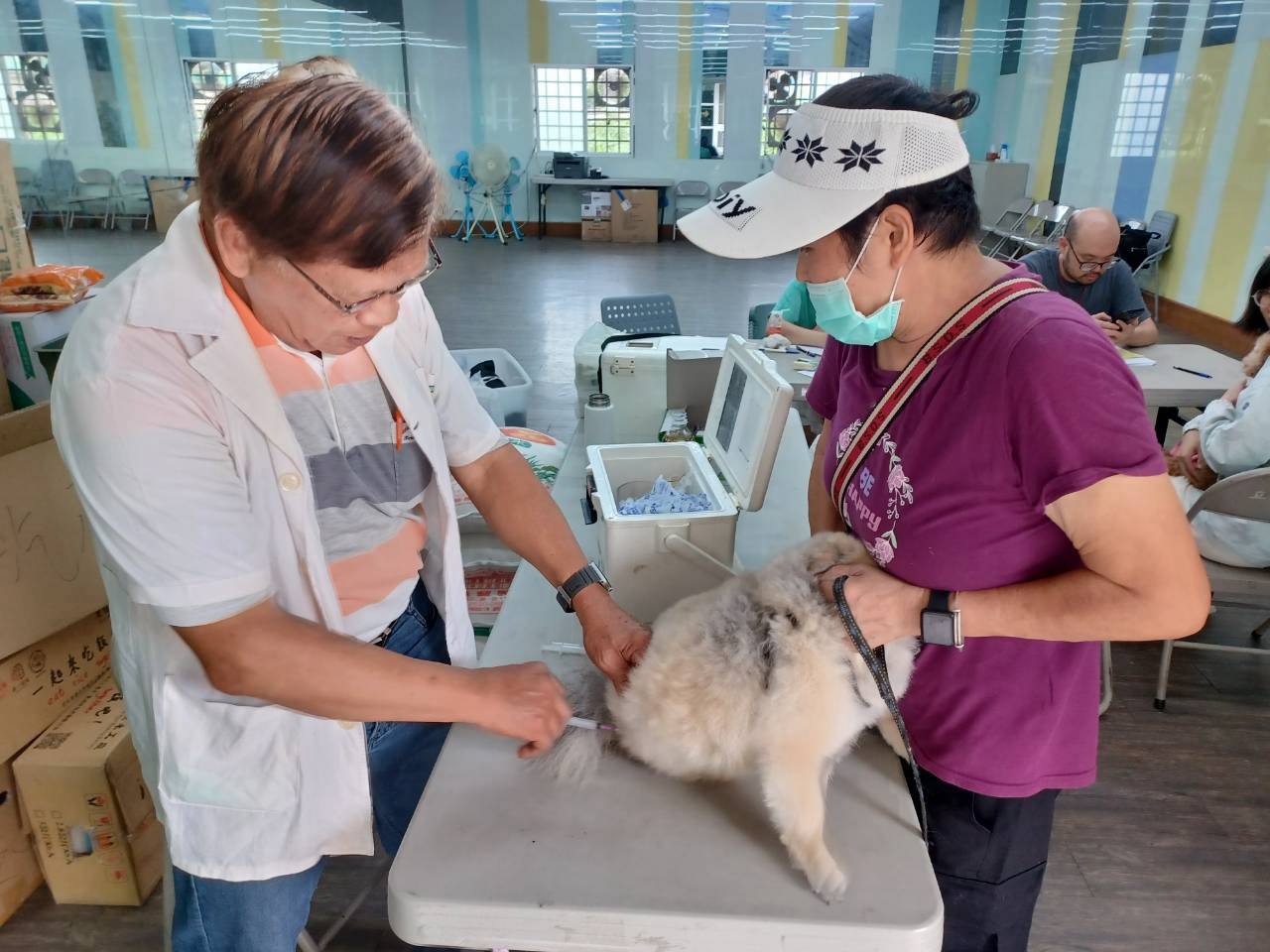 年底最後一波！ 中市狂犬病疫苗巡迴注射將開跑